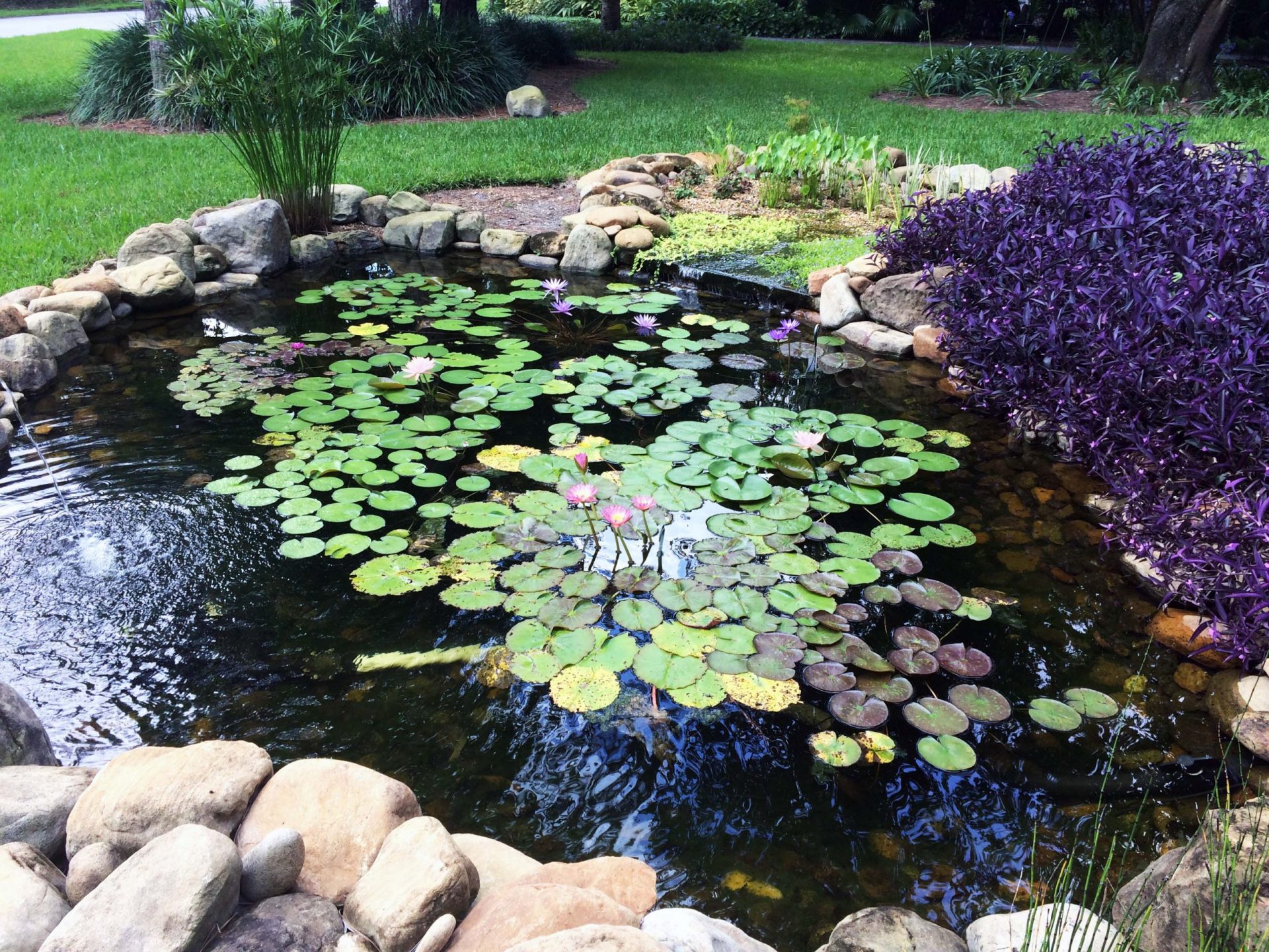 Custom Ponds by Waterscapes - Custom Pool Remodeling Company
